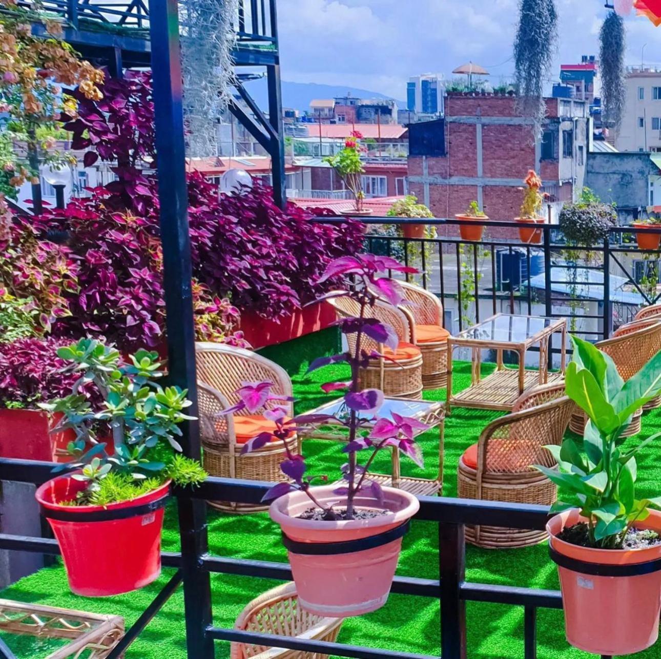 Yog Hostel- Rooftop Yoga & Backpacker Social In Thamel, Kathamndu Asrama