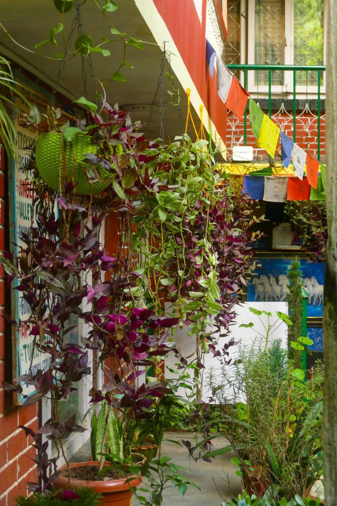 Nirvana Green Peace Guest house