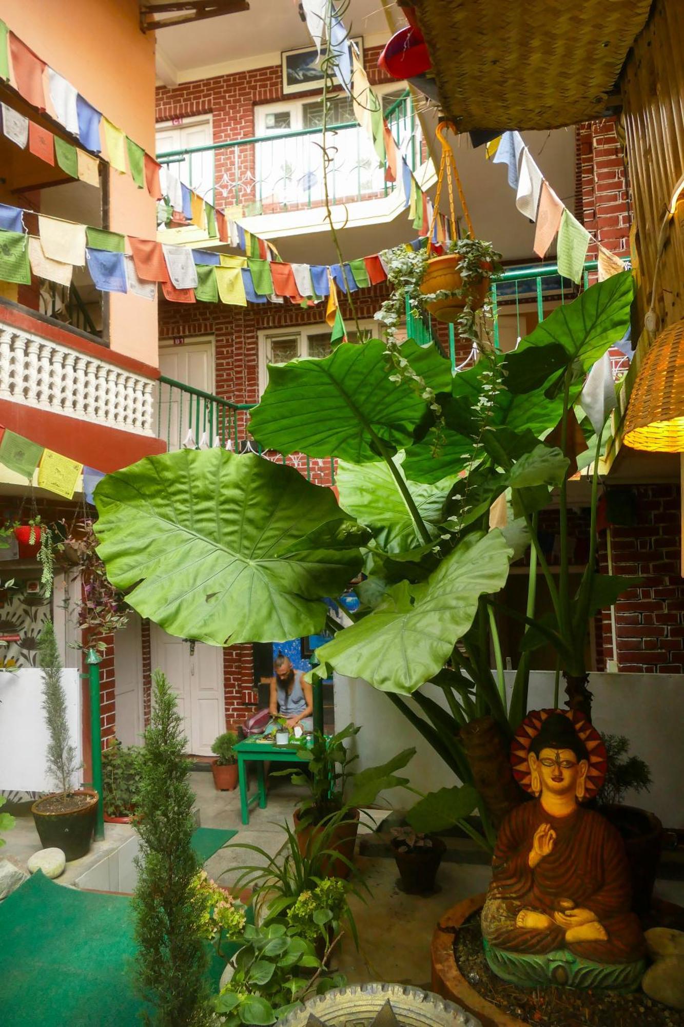 Guest house Nirvana Green Peace