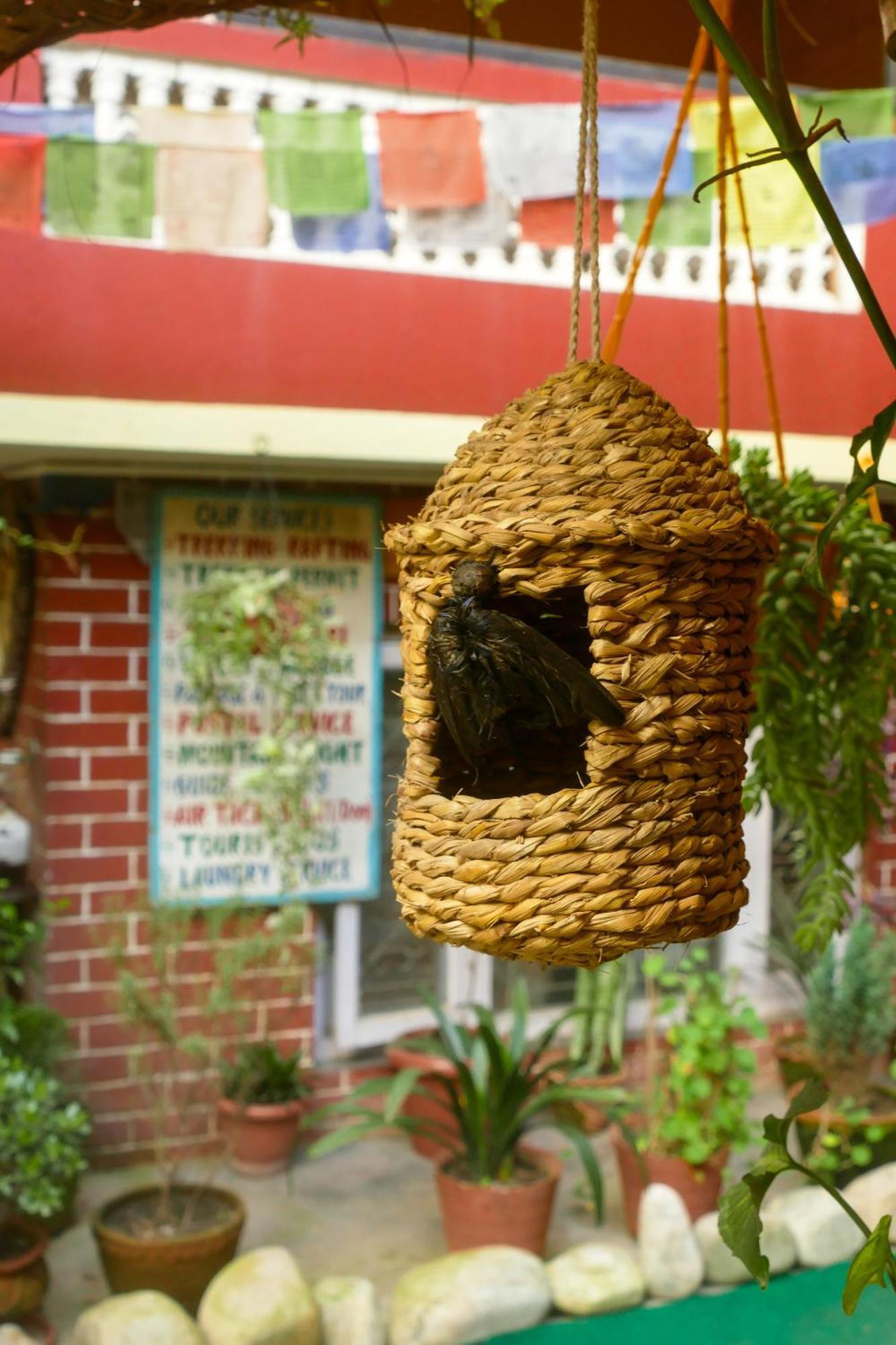 Guest house Nirvana Green Peace *