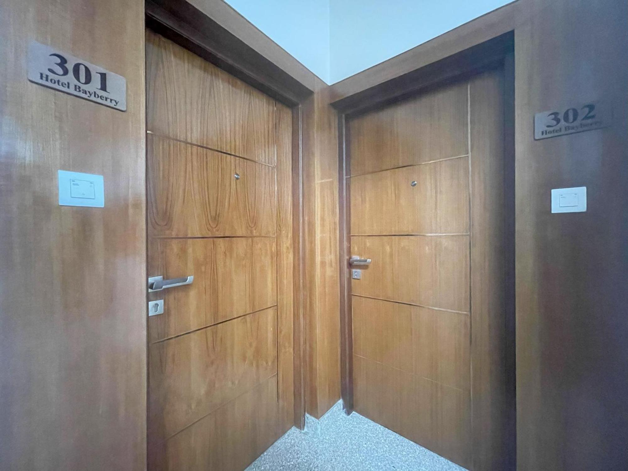 Hotel Bayberry - Near Tribhuvan International Airport