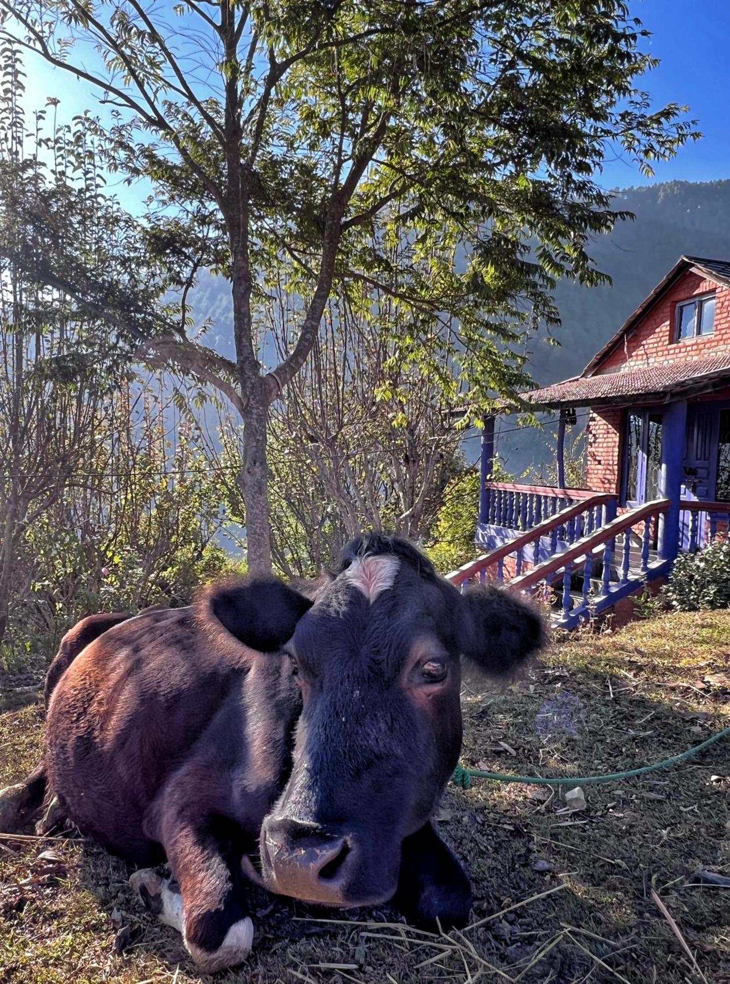 Joy Source Farm stay