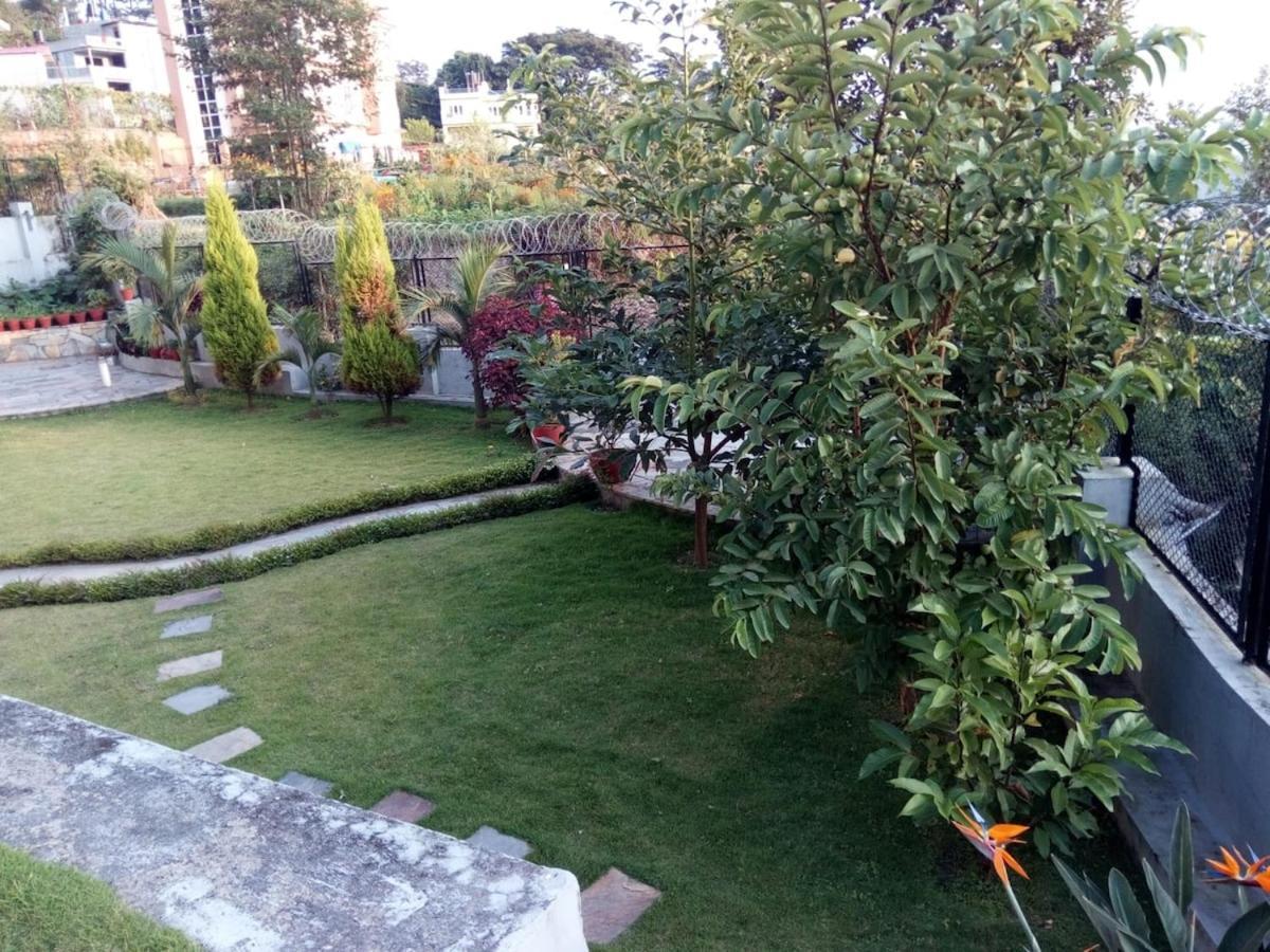 Sunny Basement With Garden And Patio