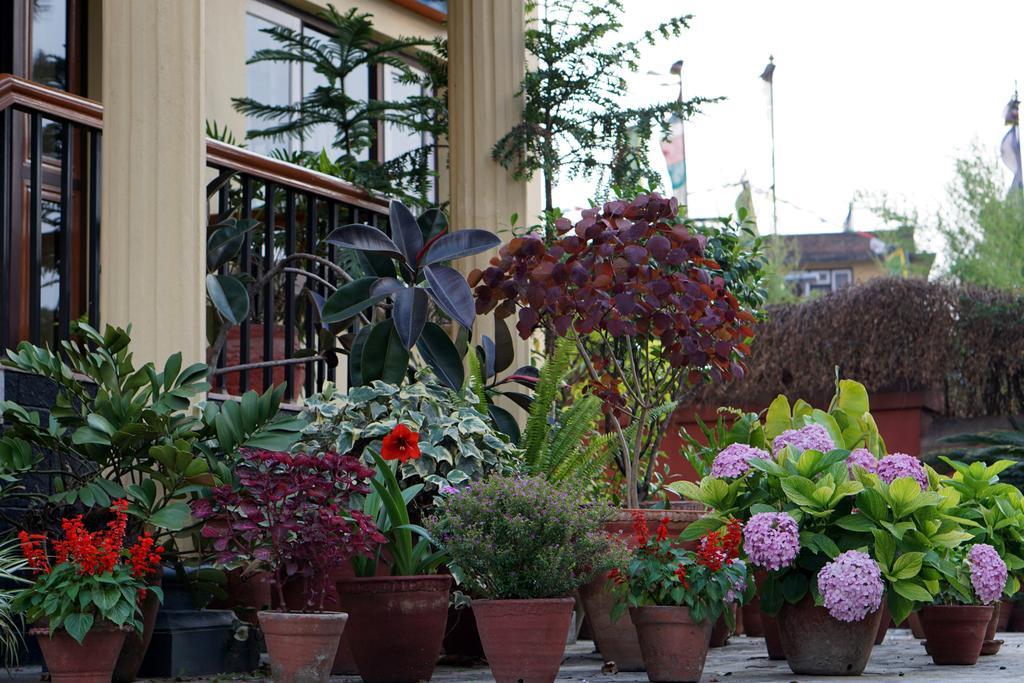 Guest house Swayambhu View 3*