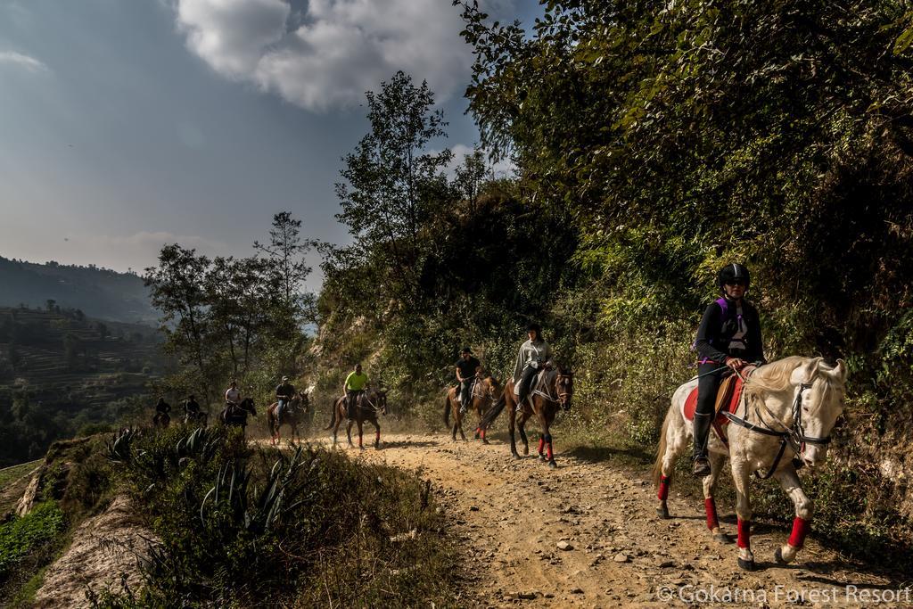 Resort Gokarna Forest 5*