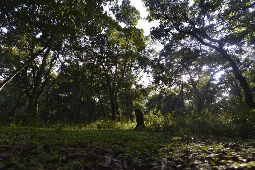 Gokarna Forest