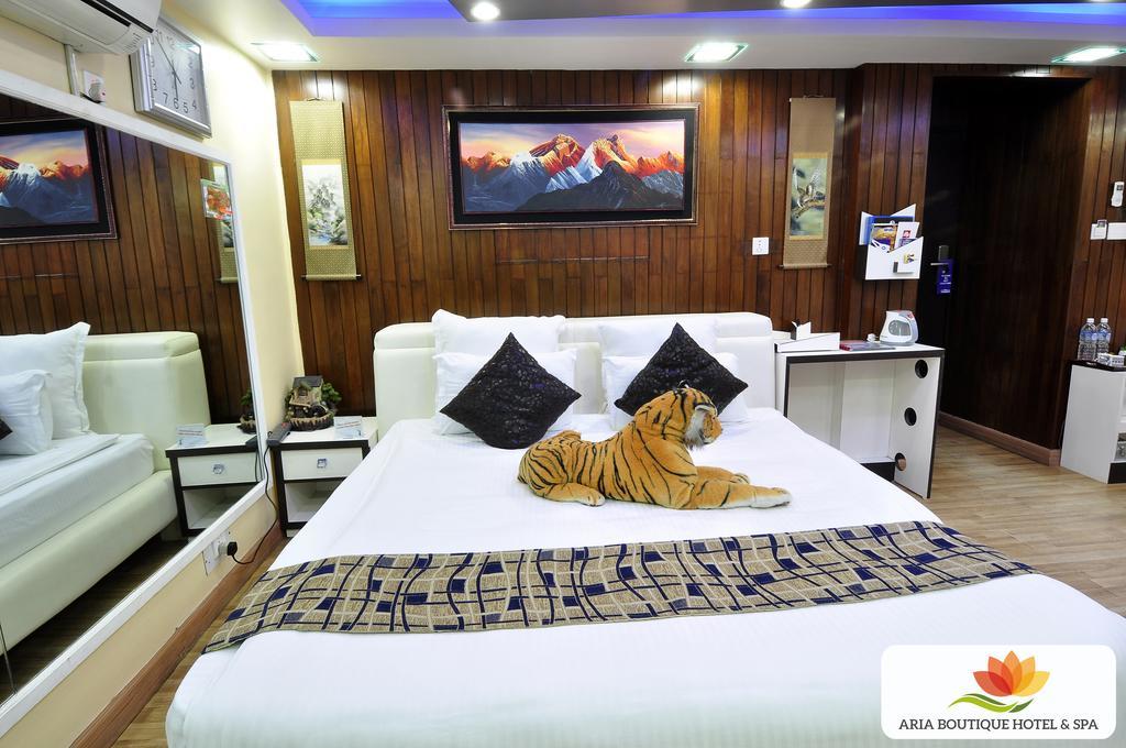 Hotel Aria Boutique & Kathmandu