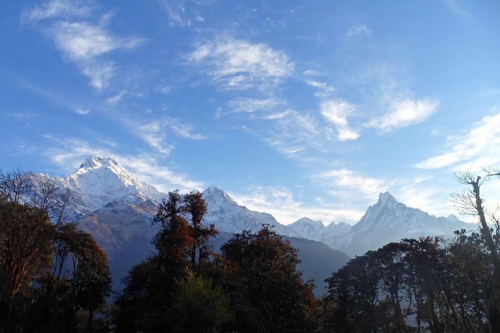 Traveler's Kathmandu