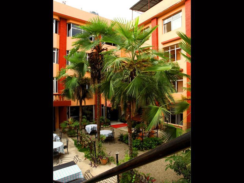 Hotel Lion 2*