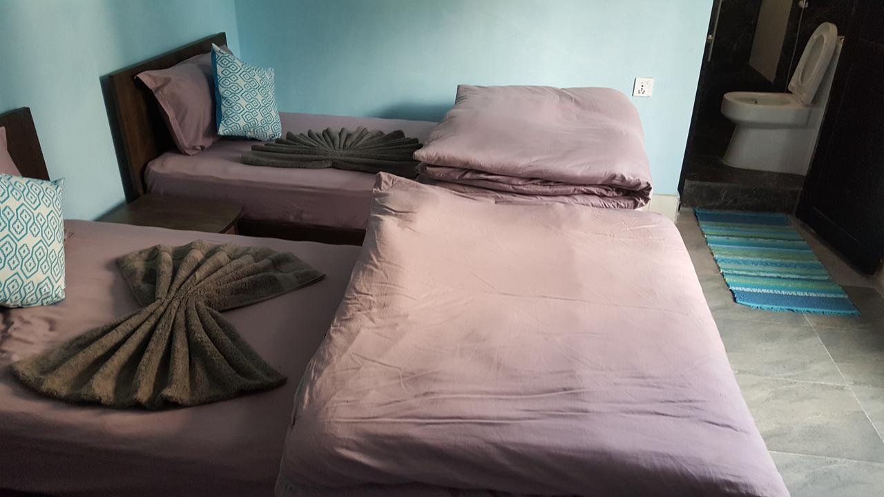Royal Tourist House Bed & Breakfast 2*