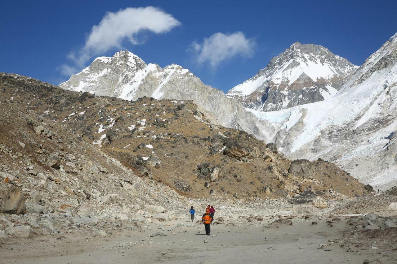 Hotel Himalayan Oasis