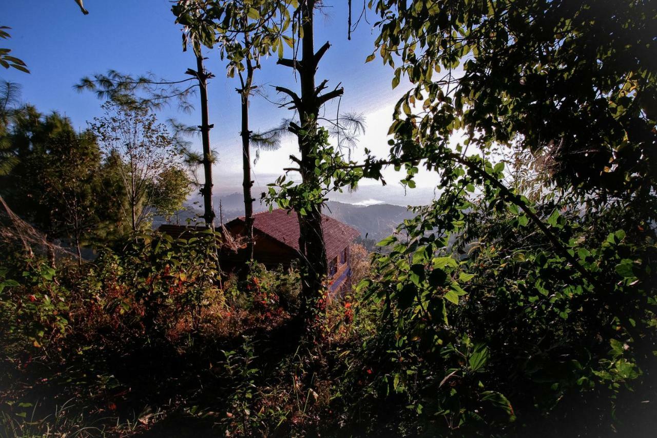 Joy Source Farm stay *