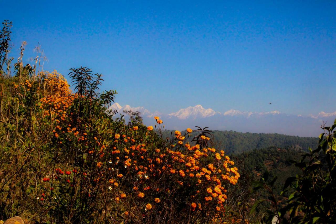 Farm stay Joy Source Kathmandu