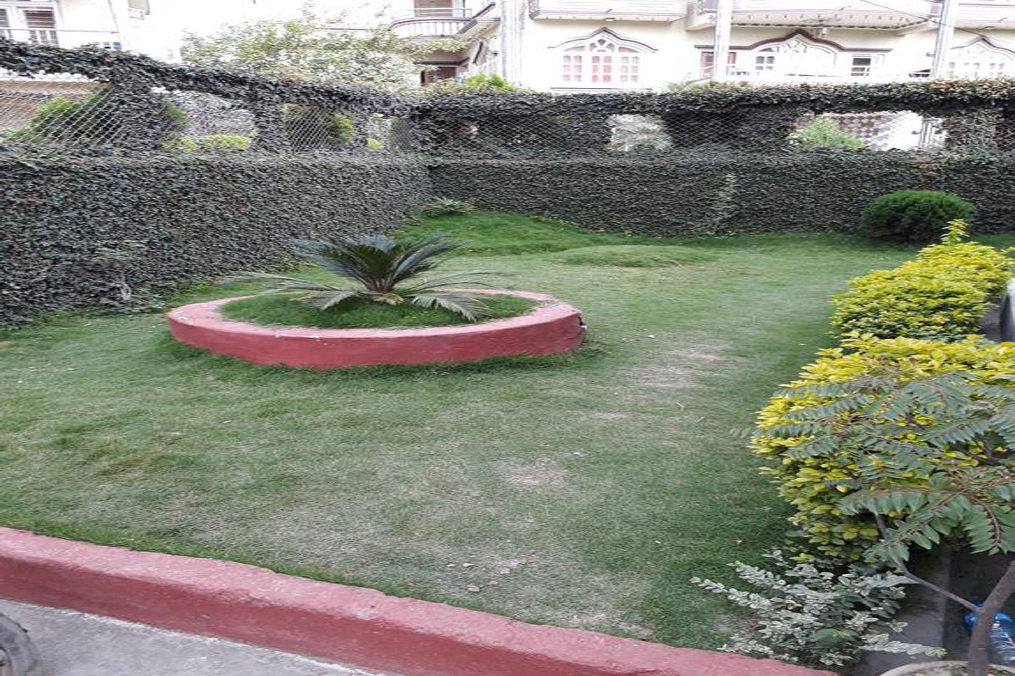 Sudha's Garden