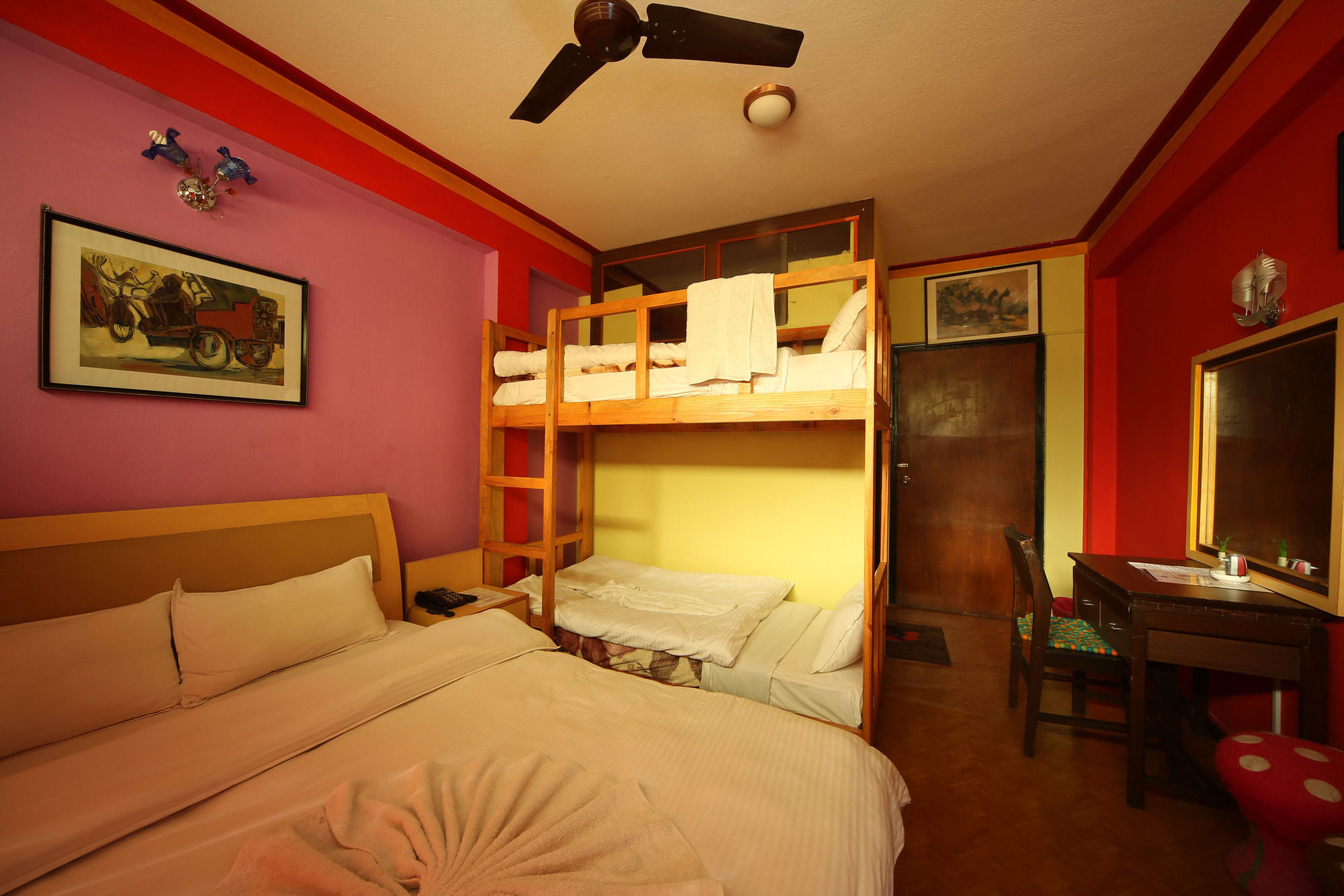 Shangrila Boutique Hostel