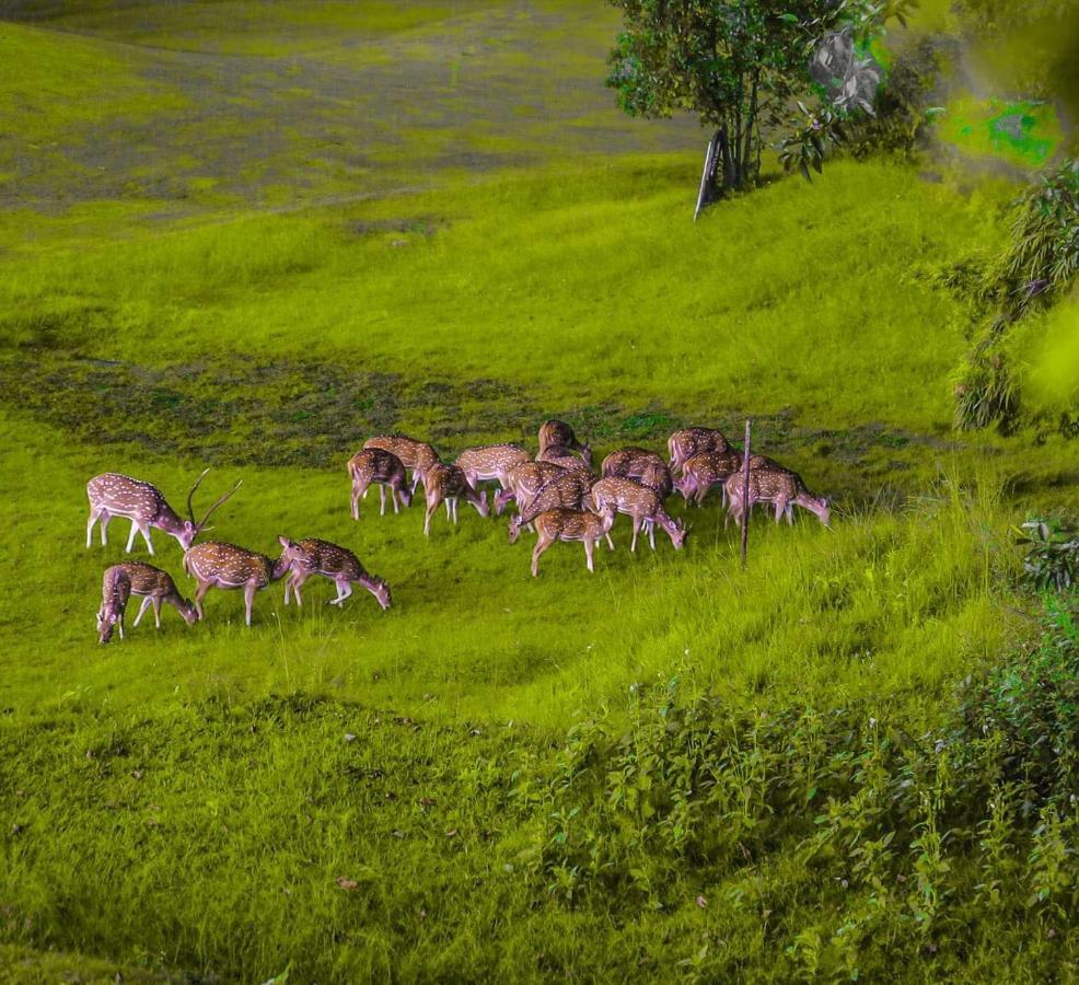 Gokarna Forest Resort 5*